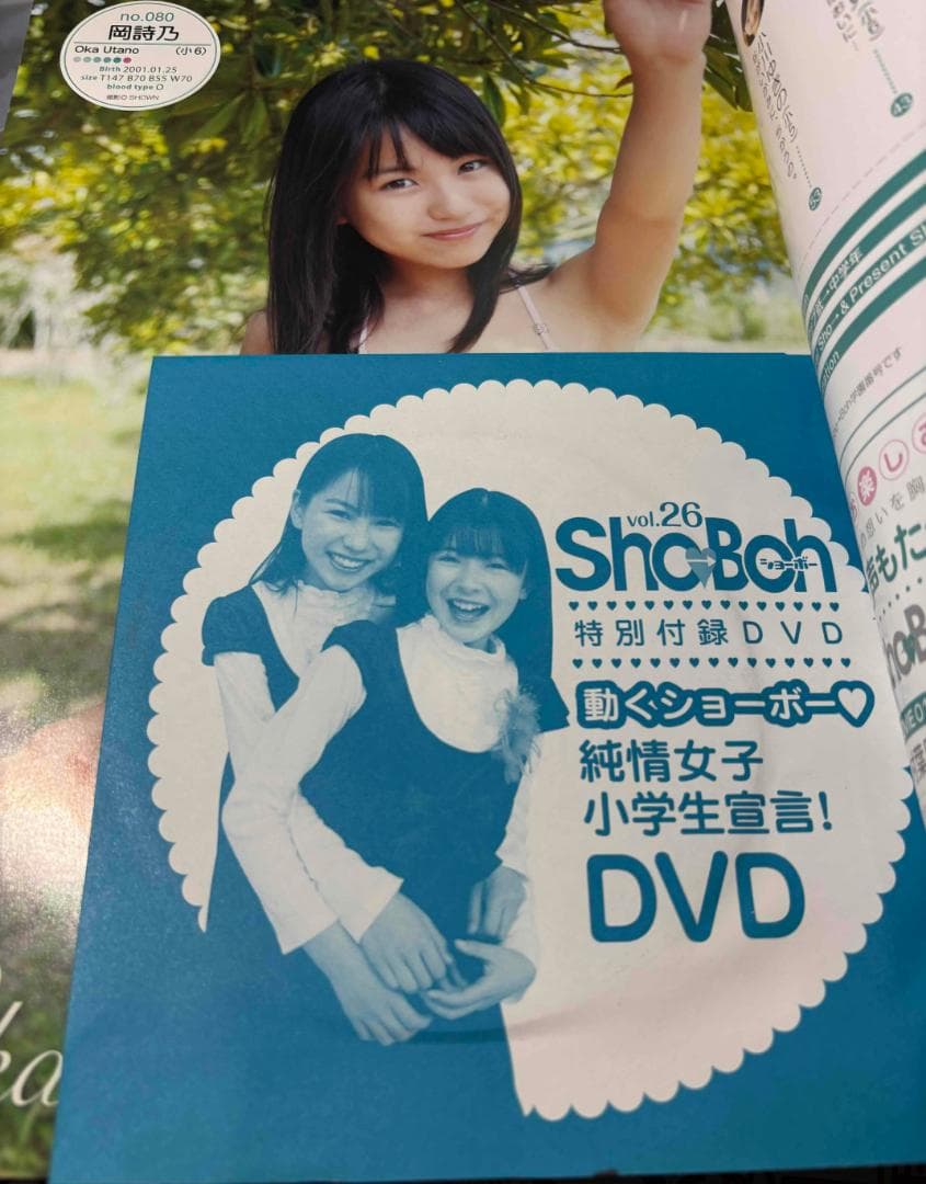 DVD未開封・美品】Sho-Boh vol.26 岡詩乃・木村葉月 - メルカリ