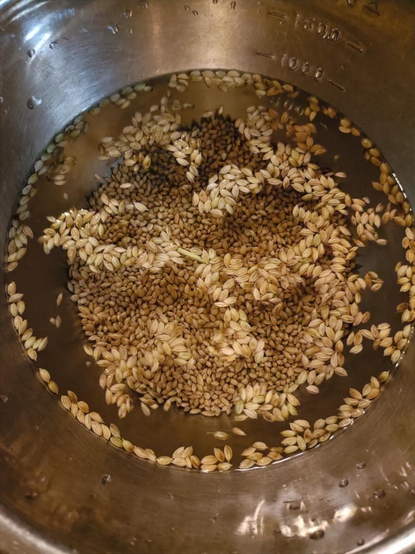 農薬不使用 7年産 ハッピーヒル（うるち）籾 3k 種籾 陸稲 - メルカリ