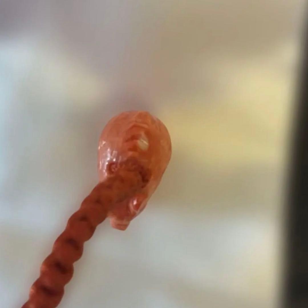 谷口康隆 作 猪 百貨店購入 根付 チャーム ストラップ 珊瑚