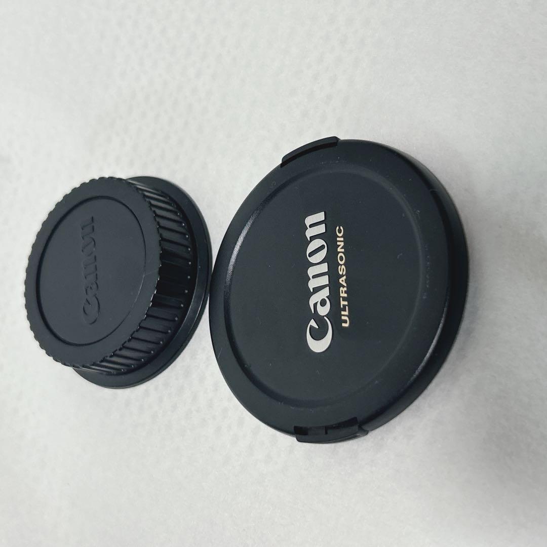 レンズ(ズーム) Canon EF 35-350mm F3.5-5.6 L USM