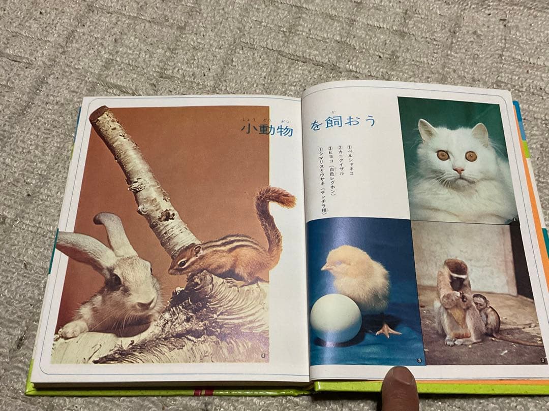 昭和47年3月10日第4刷発行／小学館入門百科シリーズ4。