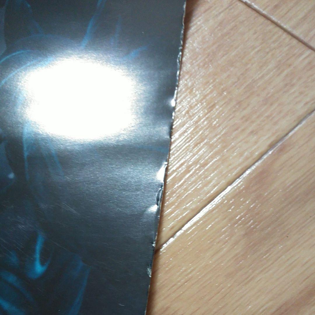 最終価格「チャーリーとチョコレート工場」「コープス・ブライト