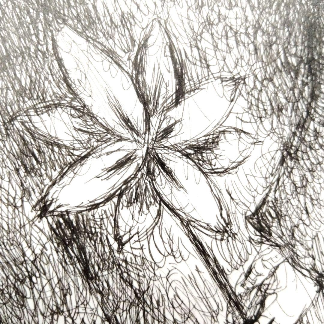 ☆ 柴原幸智 極細ペン画 原画