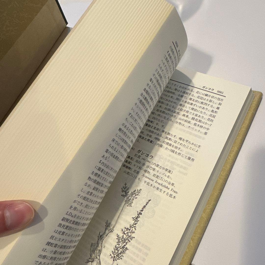 中薬大辞典 全５巻 小学館 編