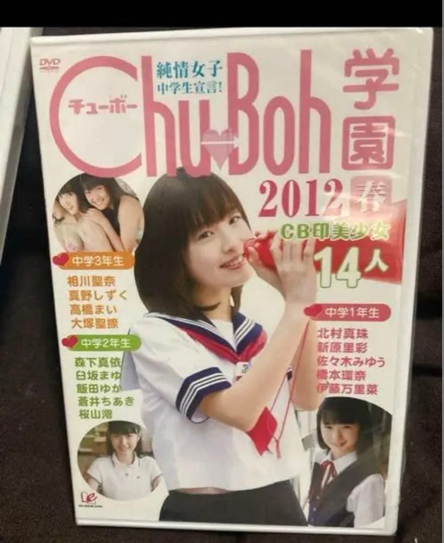 入手困難　chuboh 学園　DVD 2枚セット　橋本環奈　佐々木みゆう　他