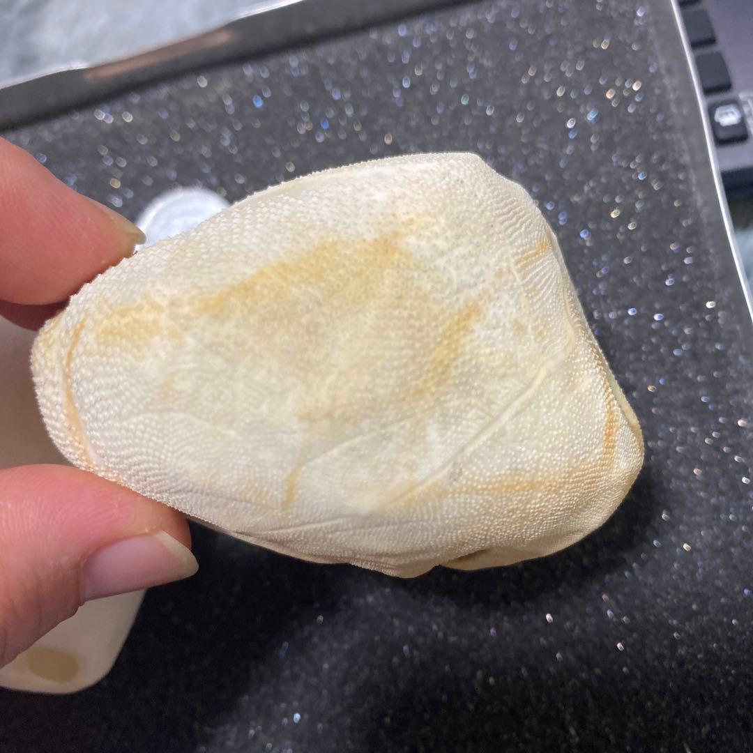 海外のブンブク ブンブクチャガマ ウニ ウニ殻 標本 - メルカリ