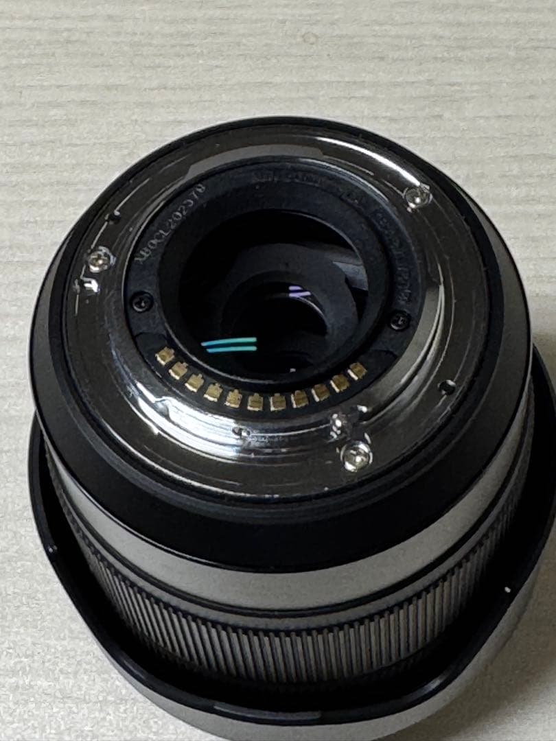 G VARIO 12-60mm f/3.5-5.6 ASPH.パナソニック