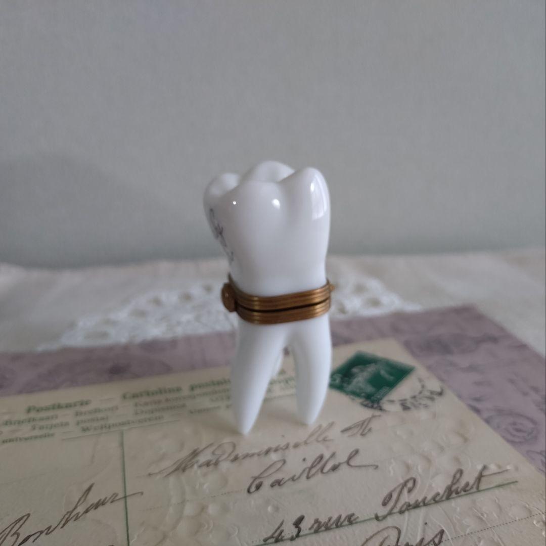 リモージュボックス 歯 ユニークデザイン フランス製 ヴィンテージ