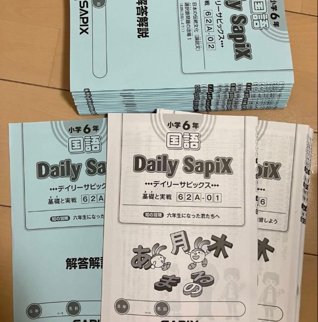 小6 国語 デイリーサピックス 24回分+春期講習•夏期講習 ウィークリー