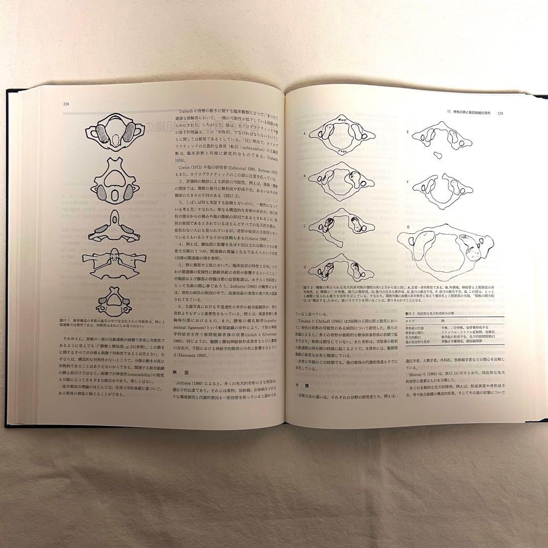 グリーブの最新徒手医学 上下2巻セット カイロプラクティック