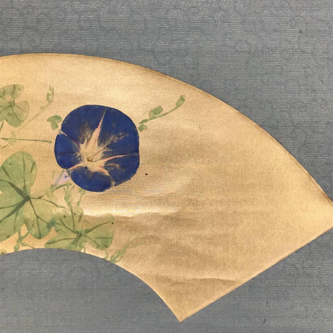 真作/庄田鶴友/朝顔図/花図/夏の花図/夏の掛軸/扇面/掛軸☆宝船☆AH