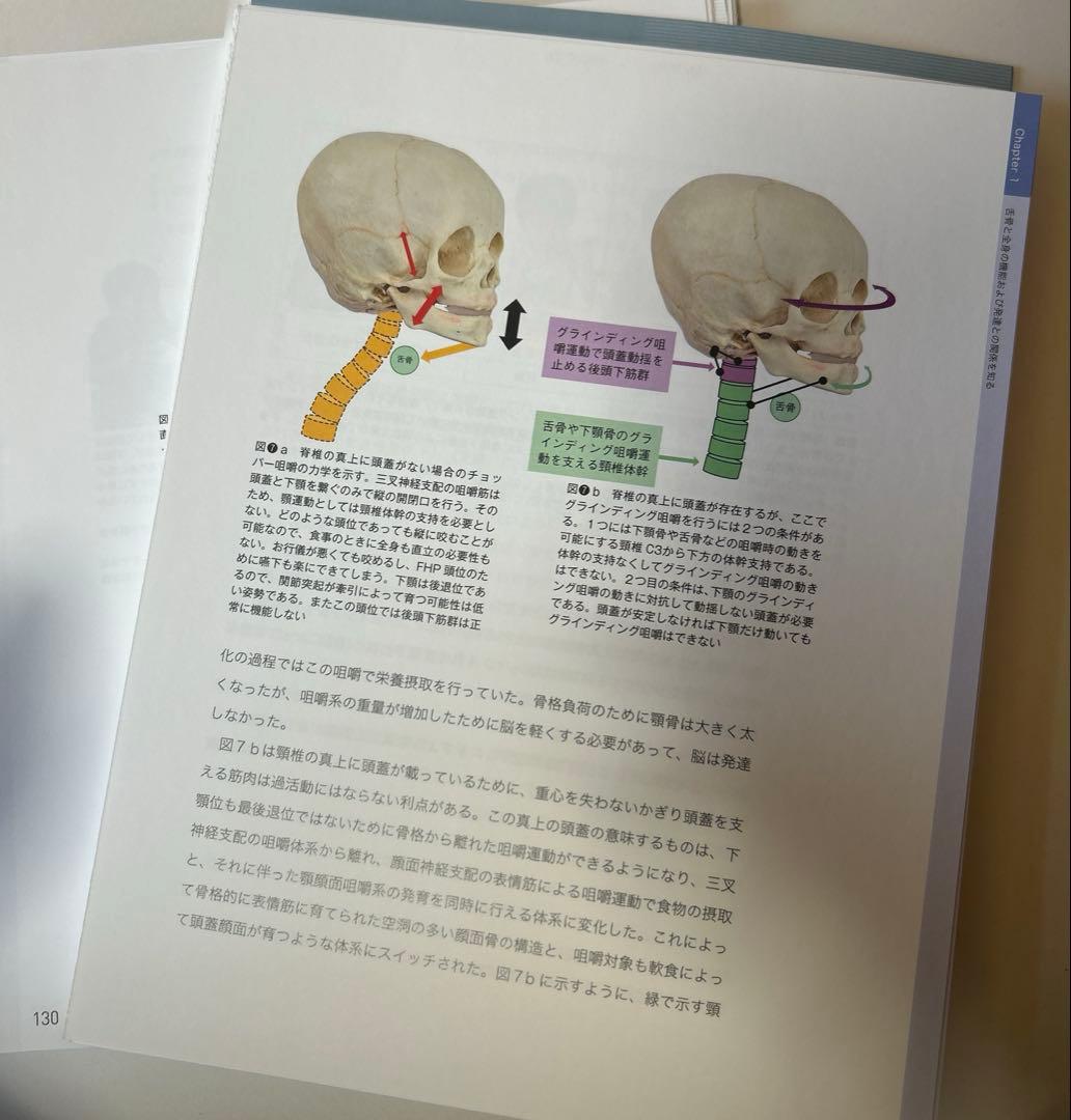 舌骨から紐解く顎機能の謎 2nd Edition