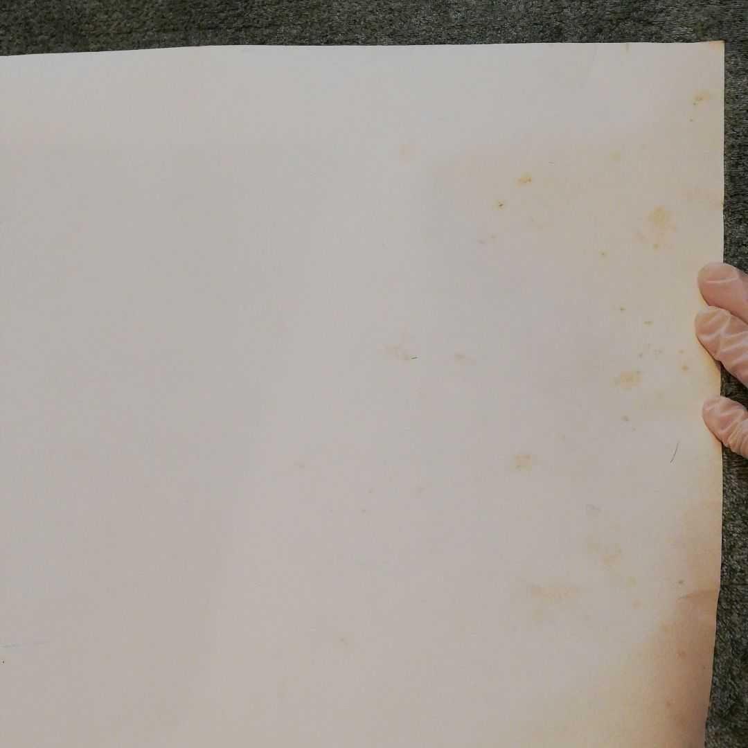 映画 ポスター ドラえもん 20周年記念 芝山努 B2判 1990年代 邦画