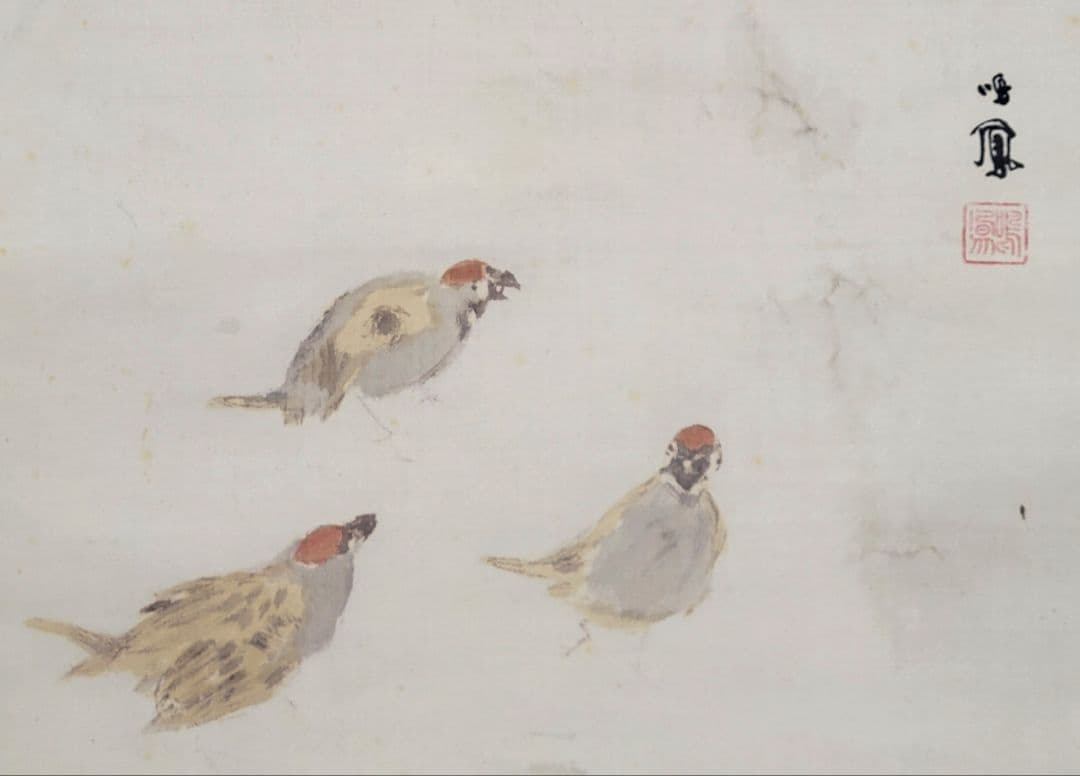 竹内鳴鳳 雀 掛け軸 合わせ箱 竹内栖鳳の息子 書画、骨董品、美術品