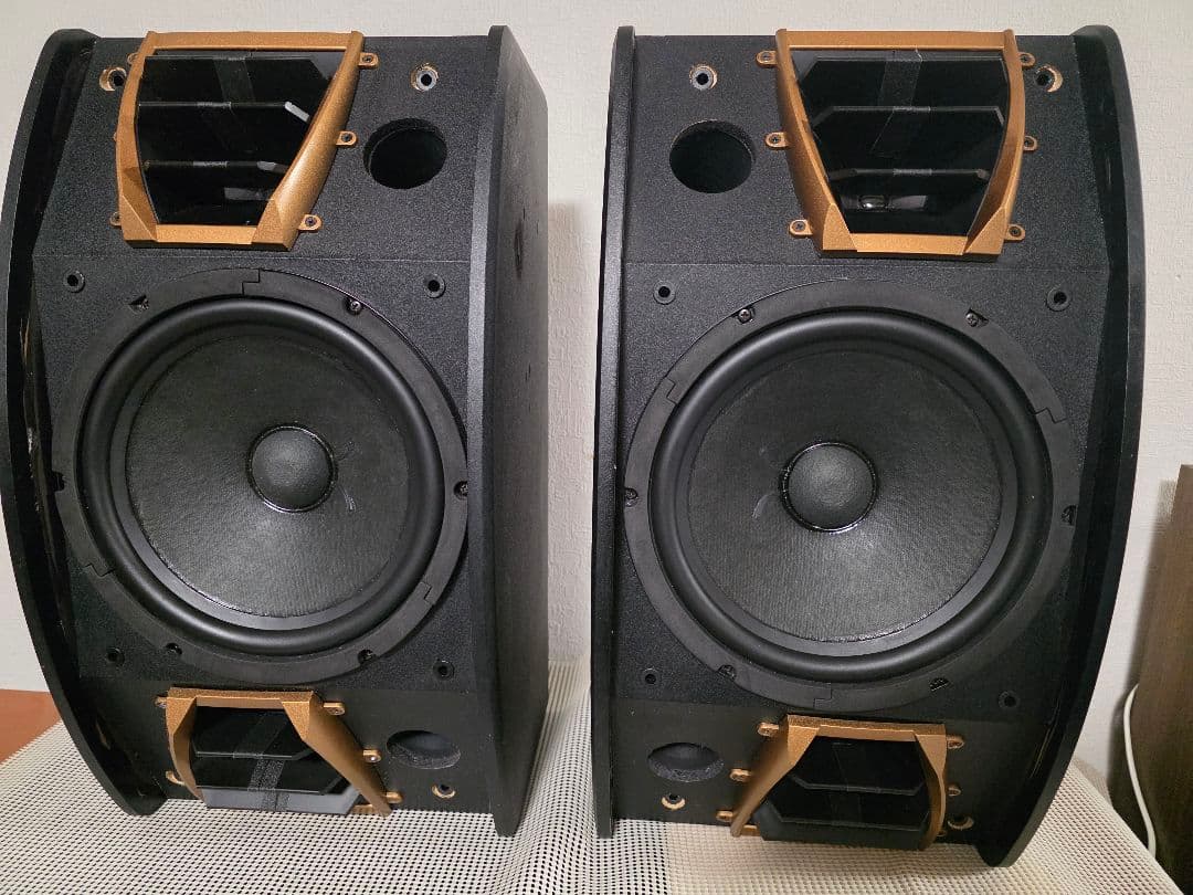 Karaoke スピーカーCLASSIC PRO KT200BR ペア