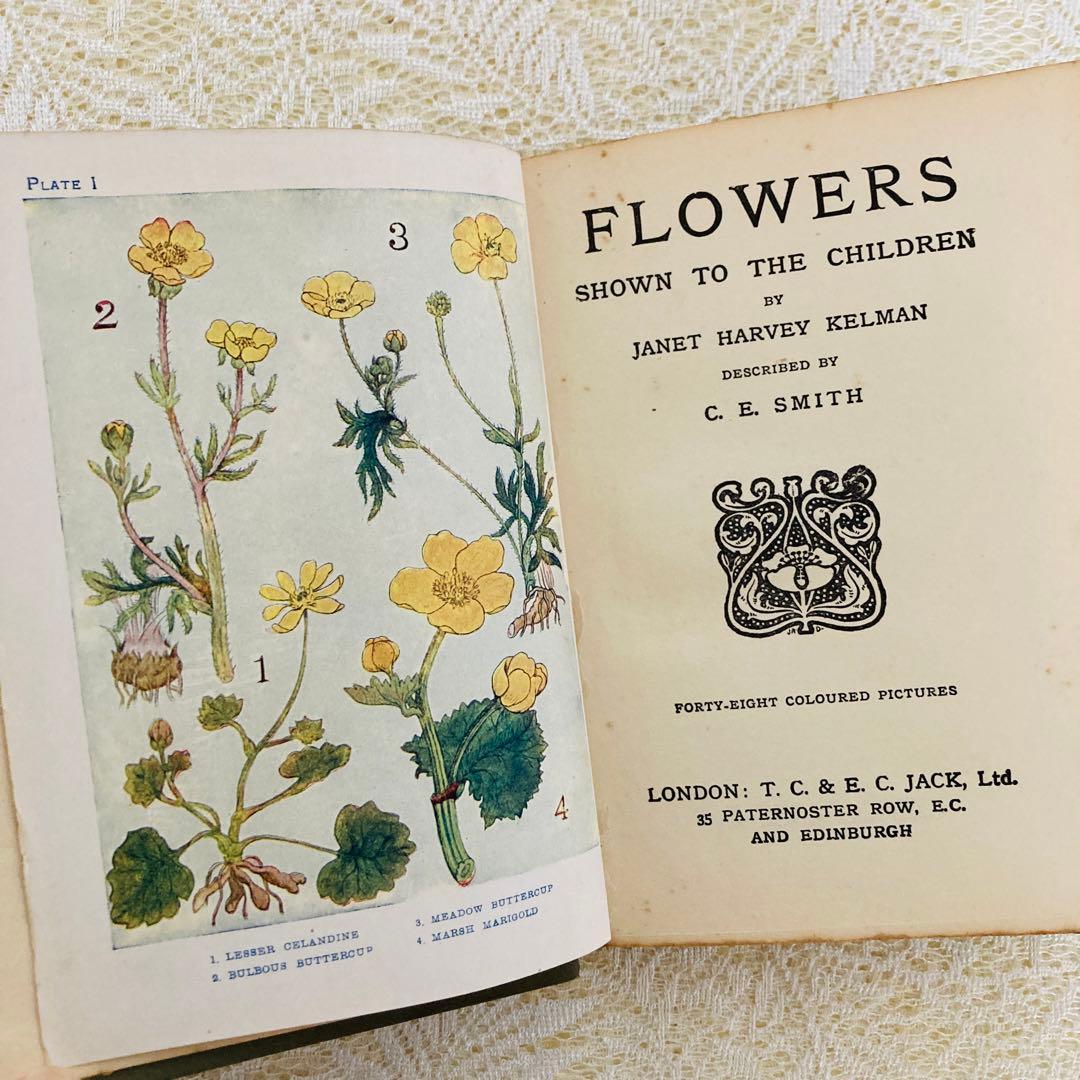 洋書 古書 アンティーク イギリスの植物図鑑 美しいカラー図版48点