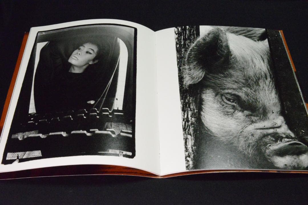 【\"屠\"A】Slaughter 深瀬昌久　750部限定発売★大幅に値下げしました