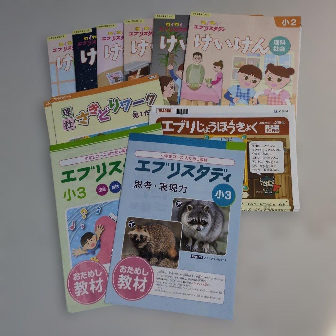 Z会小学2年生コース】エブリスタディワーク/みらい思考力等≪10～3月号