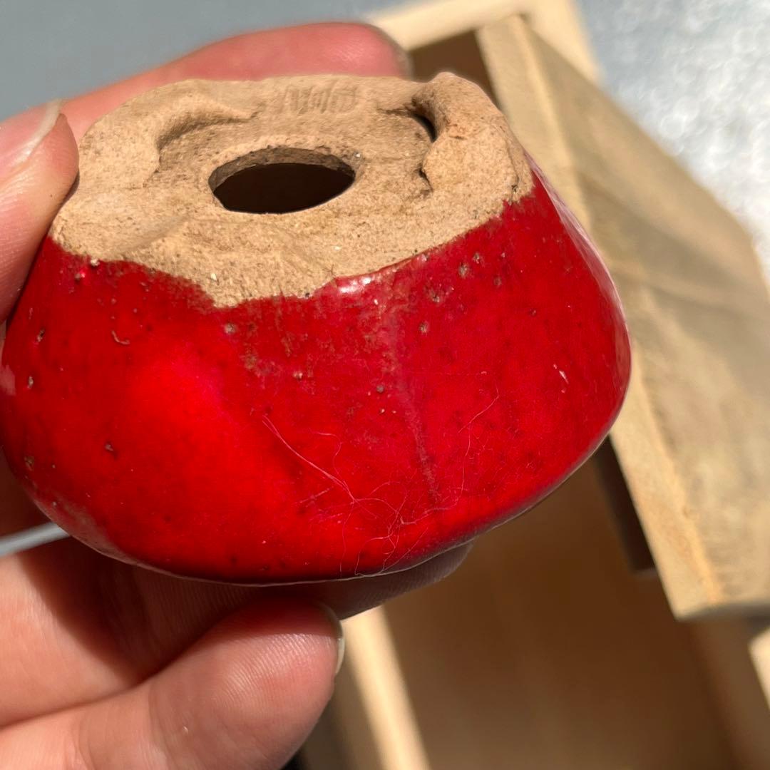598.豊千 鶏血釉丸鉢2点 箱布付 盆栽鉢 山野草鉢 豆鉢 6.1*2.8cm