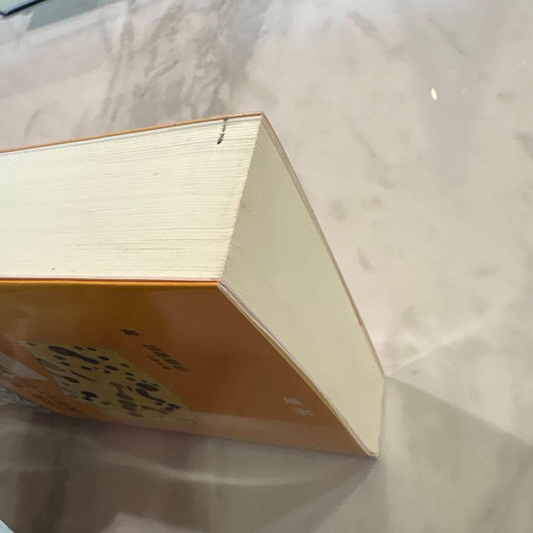 乳製品製造学 : ミルクの栄養・機能性と化学的性状および乳製品製造法