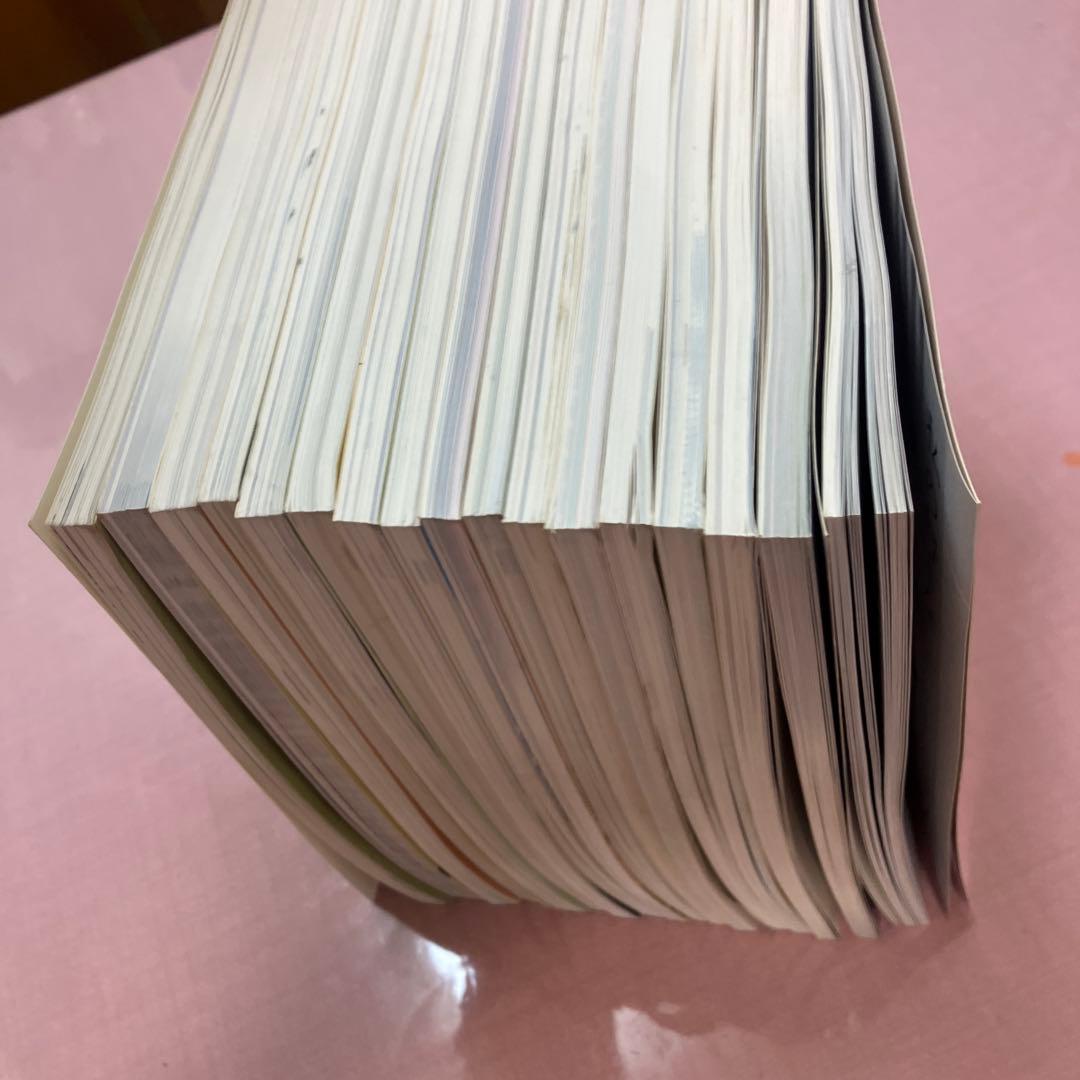 季刊　水墨画全17冊　No100〜No116 日資出版社【抜けている番号本無し】