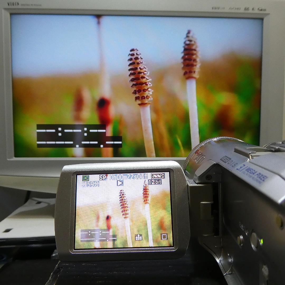 動作良好 パナソニック NV-GS250 MiniDVビデオカメラDVD化に最適 動作