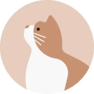 交渉値引可【脂肪吸引後用】湘南美容外科 YAMAN キャビテーション 美顔