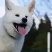 MICRO ACE オシャンアロー9両セット A-0768 A-0767 - メルカリ