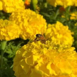 簡易ユニット無し グリッドマン スマパチ 加工済み品 - メルカリ