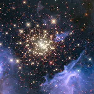 KickFlip中国限定 北京 サイン会 特典 トレカ ケイジュ - メルカリ