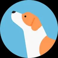 横綱 貴乃花 オレンジカード - メルカリ