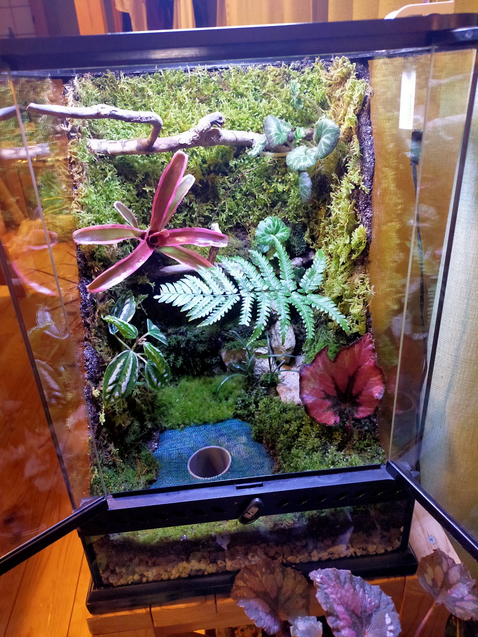 隠れ家付き！自然の中の飼育箱ビバリウム(グラステラリウム3045