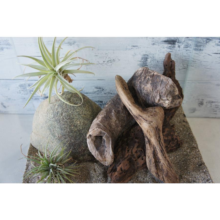 流木 大型サイズ インテリア オブジェ おしゃれ 爬虫類 登り木