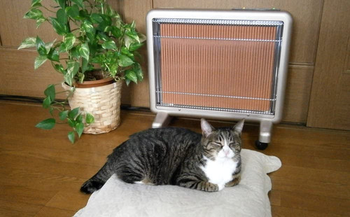 サンルミエ・エクセラ7 | 日本遠赤外線株式会社 公式ページ