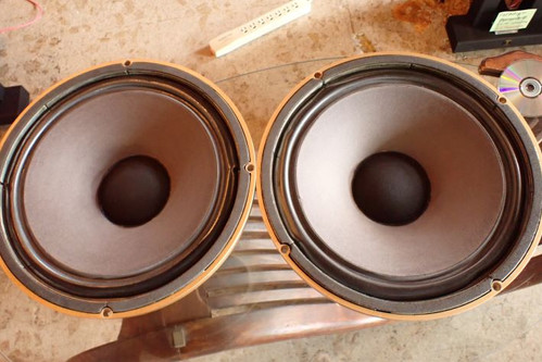 TANNOY・ARDENの初期型ユニットHPD385 2本 | MARO