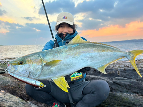 Mareflipp102S｜マーレフリップ102S | TRANSCENDENCE