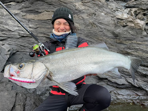 Mareflipp102S｜マーレフリップ102S | TRANSCENDENCE