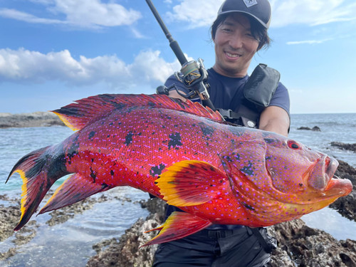 Mareflipp102S｜マーレフリップ102S | TRANSCENDENCE