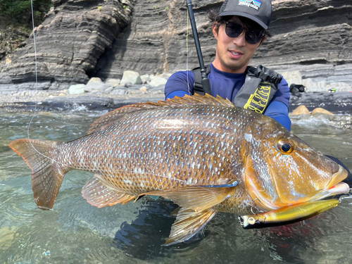 Mareflipp102S｜マーレフリップ102S | TRANSCENDENCE