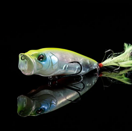 Popmax SP-C Respect Series | Berkshire Bass