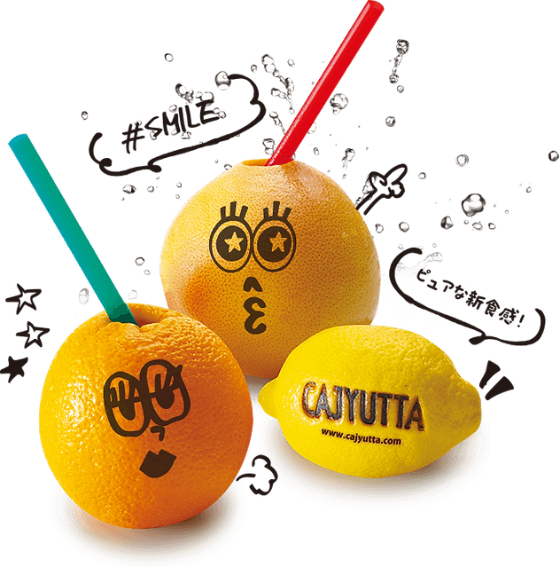 CAJYUTTA｜カジュッタ公式−グレープフルーツ生搾り機