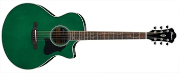 AE205 | Ibanez Wiki | Fandom