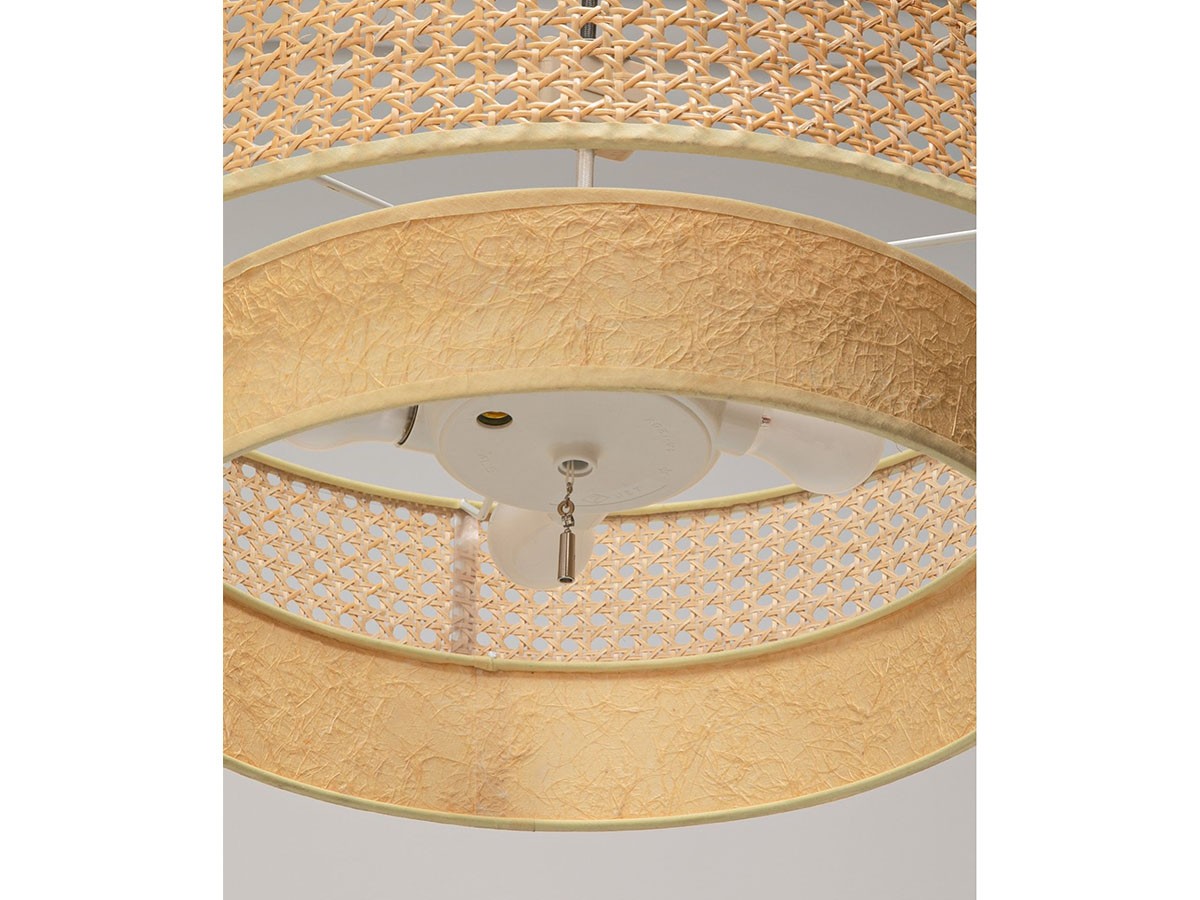 JOURNAL STANDARD FURNITURE DAFNE CEILING LAMP / ジャーナル