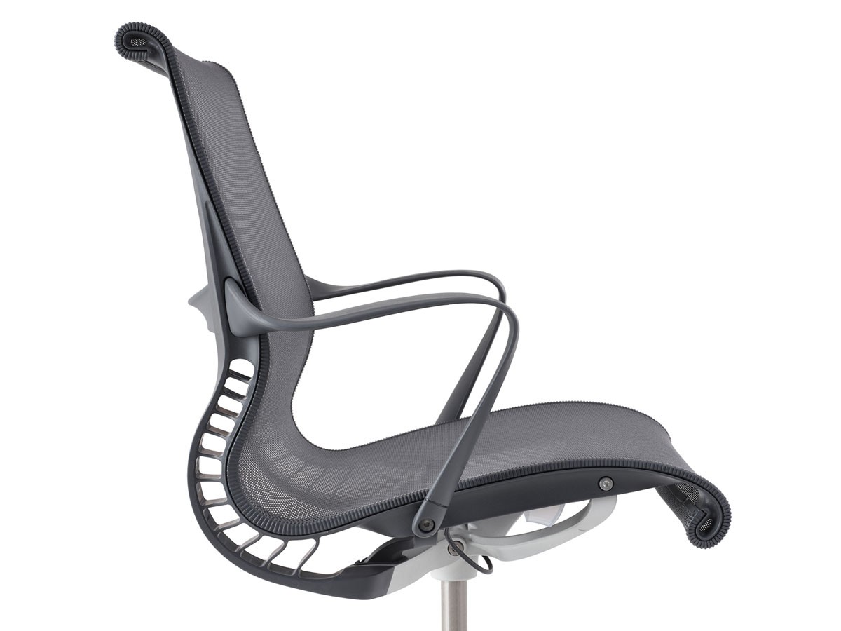 Herman Miller Setu Chair / Multipurpose Chair 5-star base