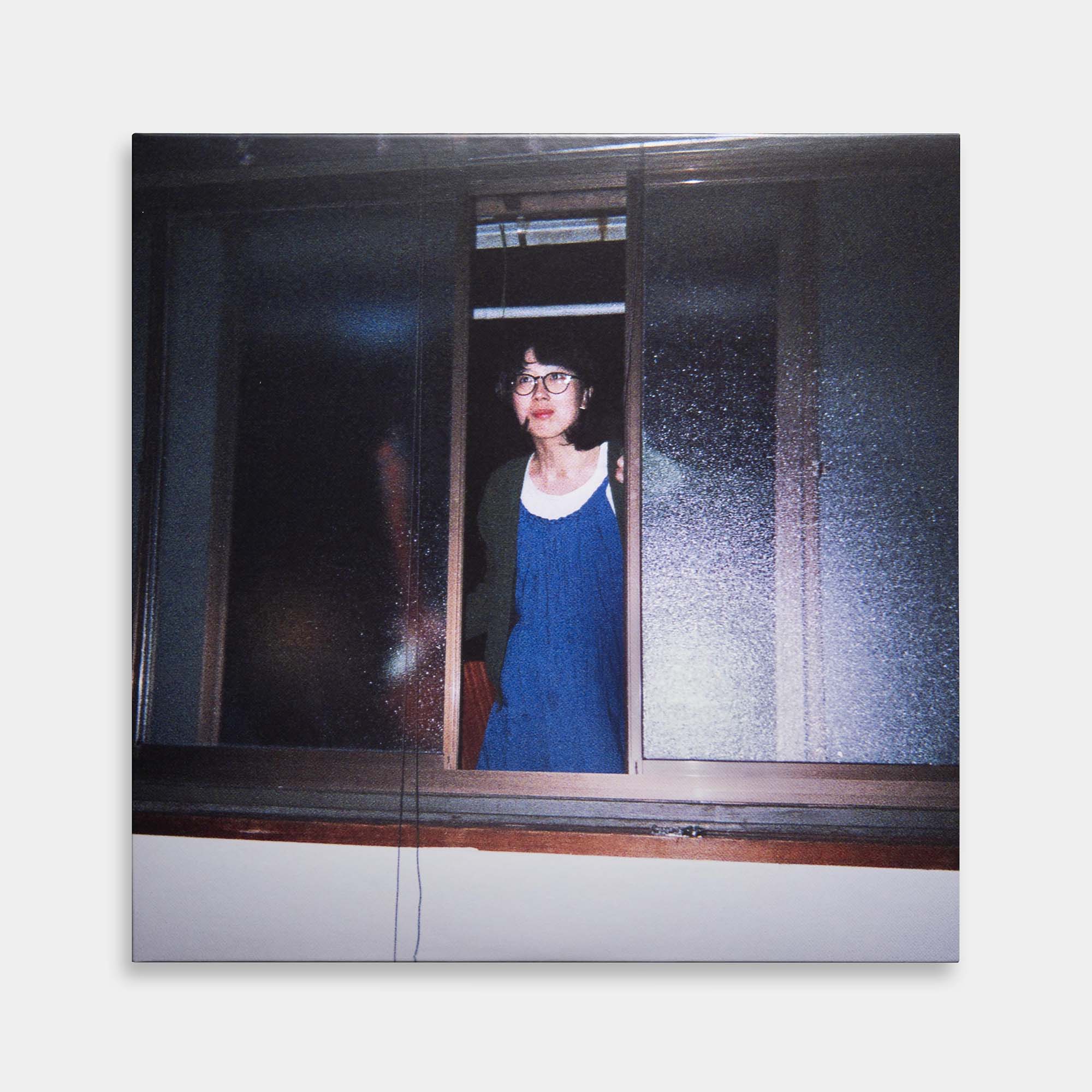 柴田聡子 - いじわる全集【2LP】【レコード】 – Staghorn Records