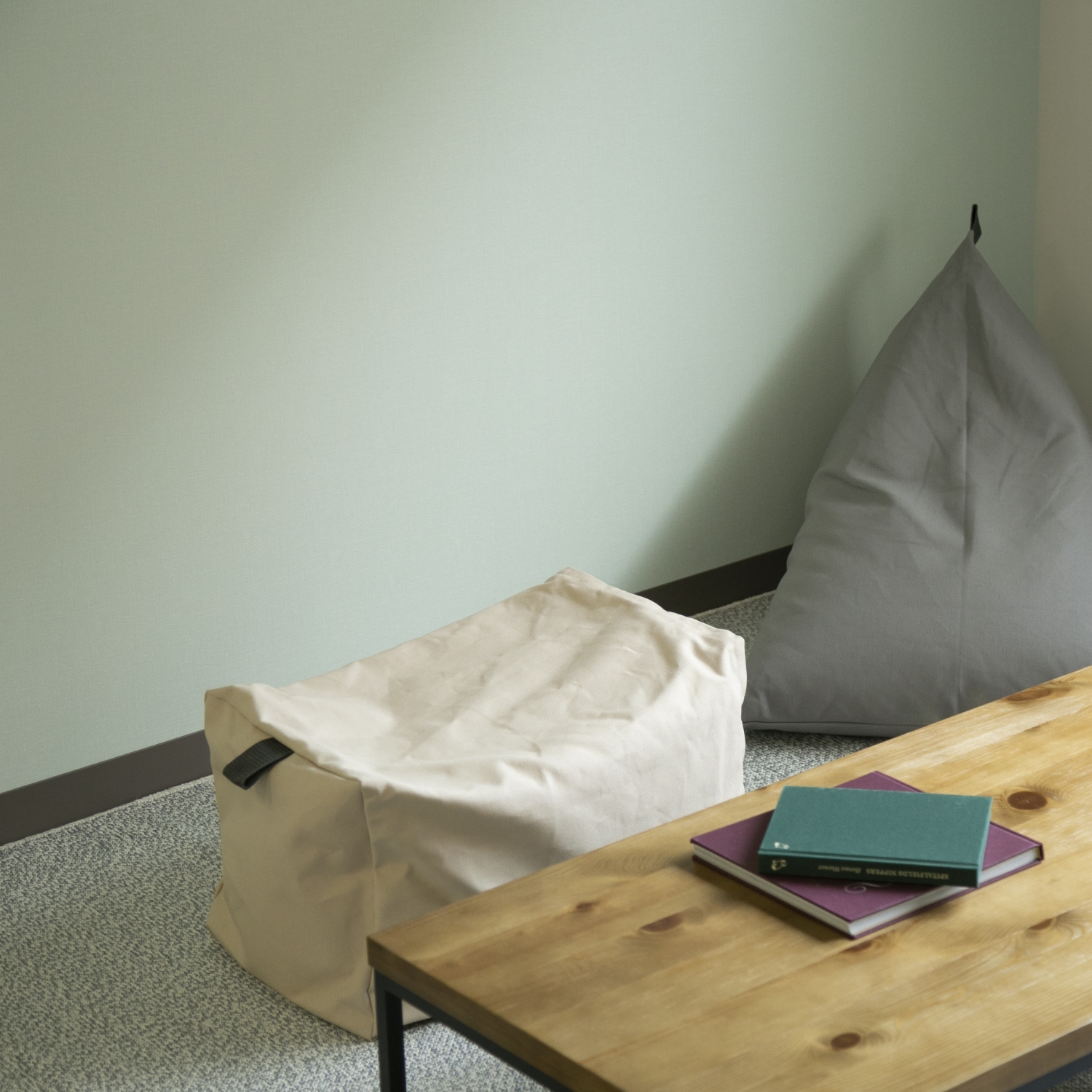 tetra CUBRICK 8号帆布 ビーズクッション -座る高さを変えられる